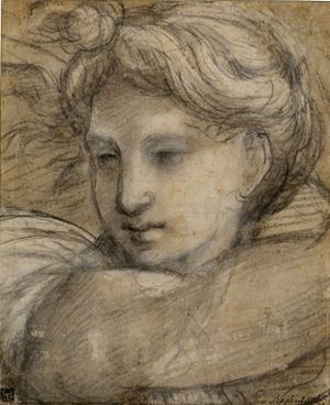 Raffaello : rajzok Budapesten