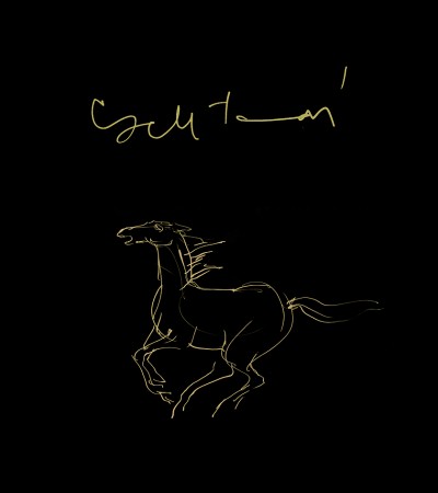 Grafikák / Cseh Tamás