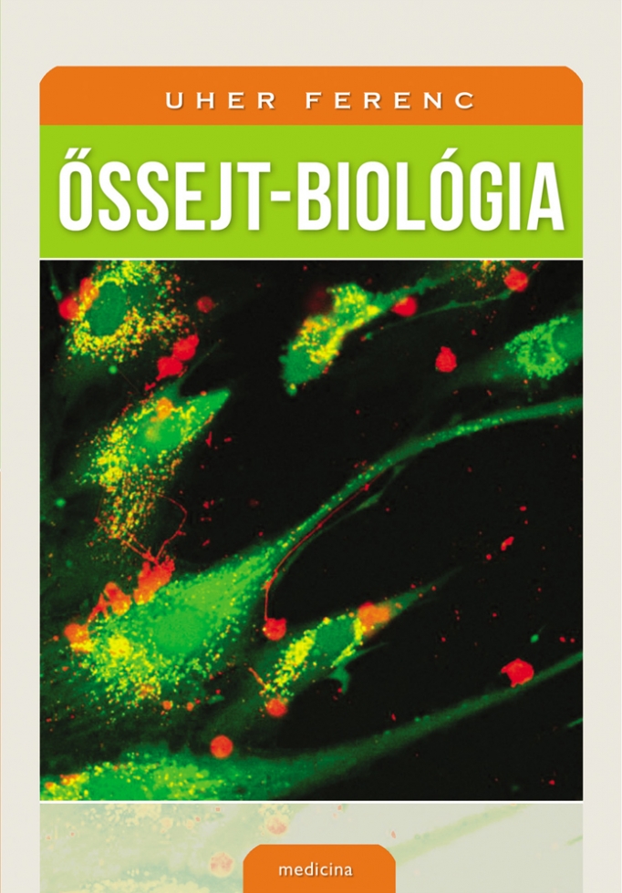 Uher Ferenc: Őssejt-biológia