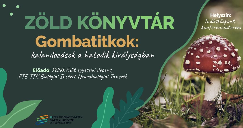 Gombatitkok: kalandozások a hatodik királyságban