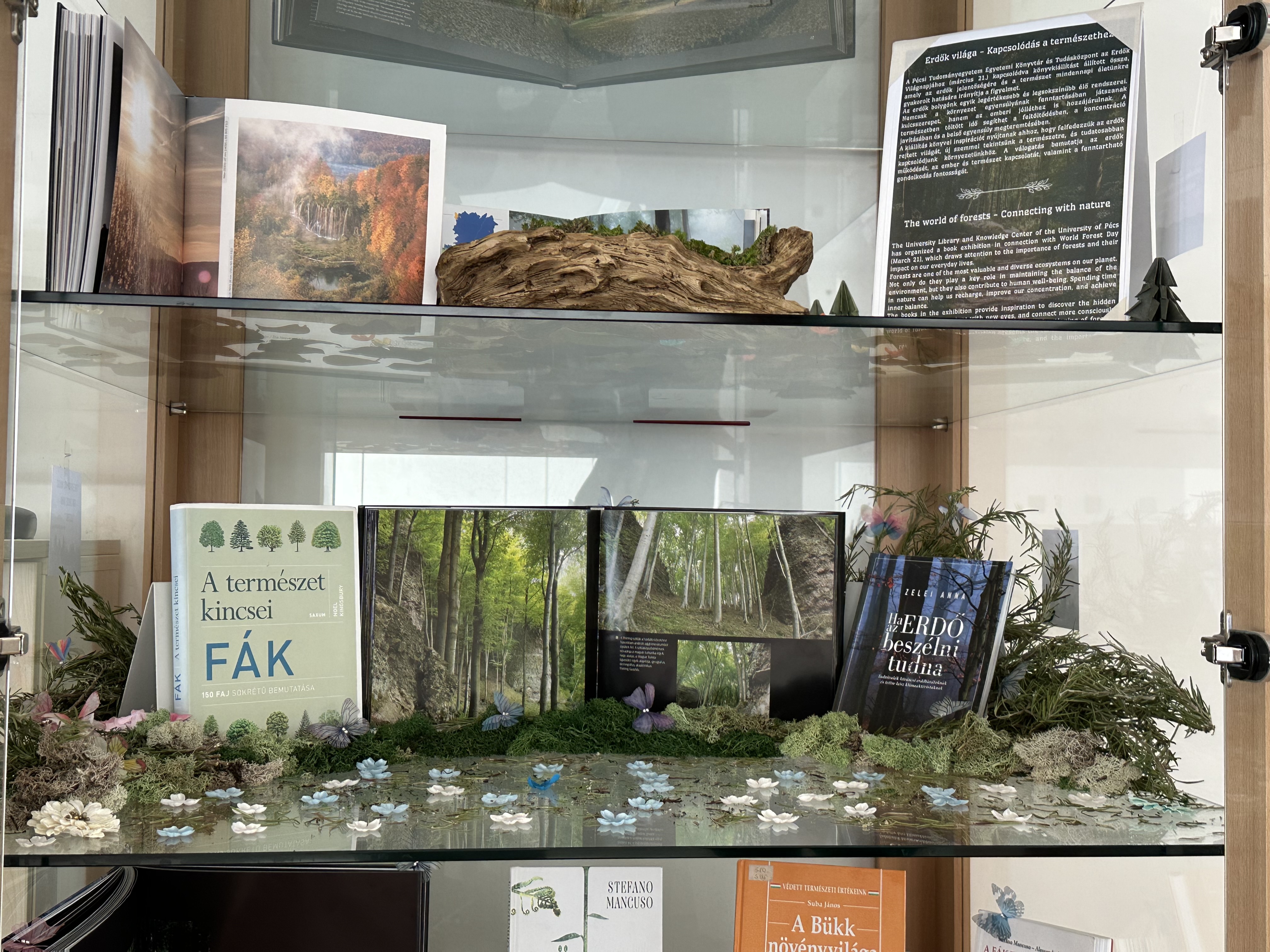 International Day of Forests - Connecting with Nature  -  An  Exhibition